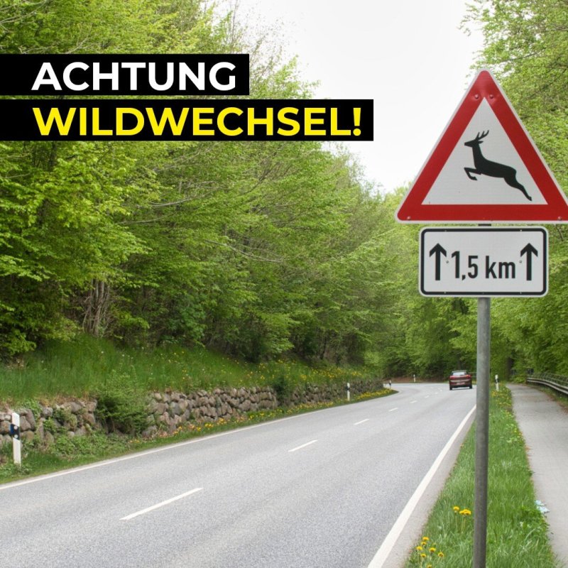 Achtung Wildwechsel