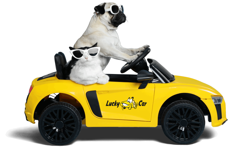 Lack und Karosserie Leistungen