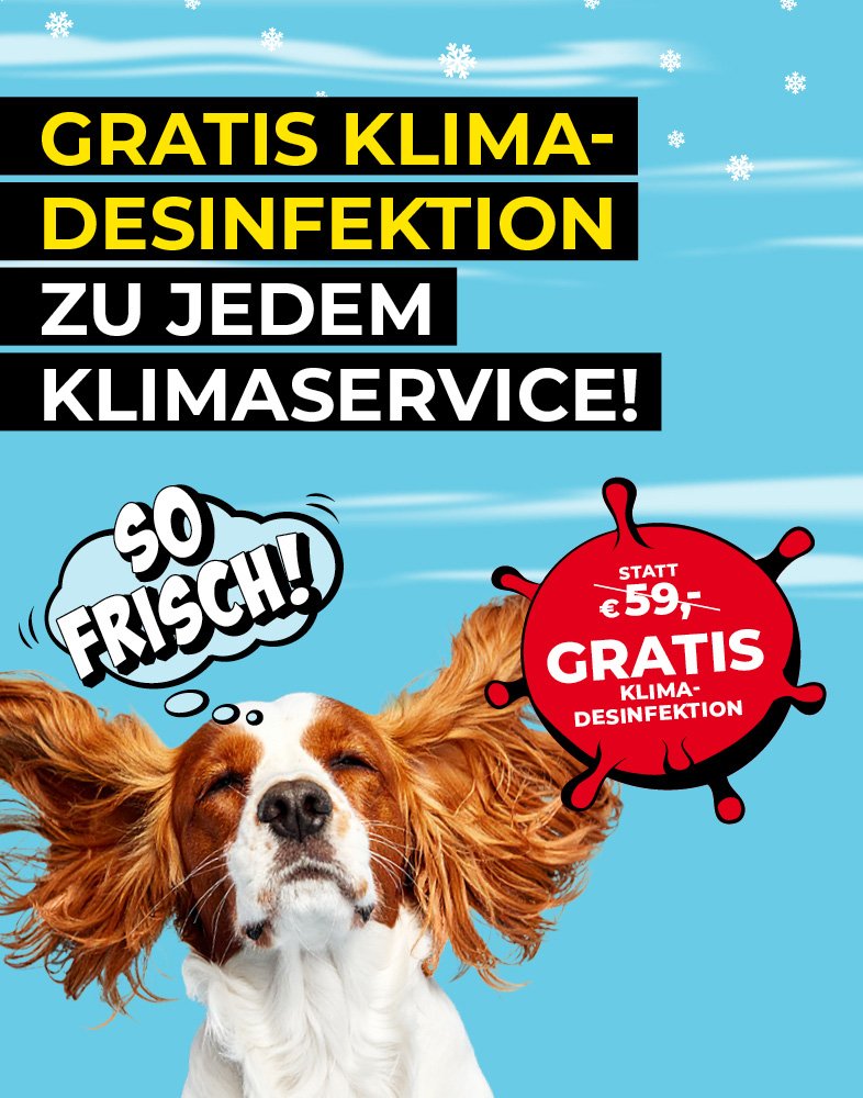 Hund mit wehenden Ohren, Werbung für Klima-Desinfektion