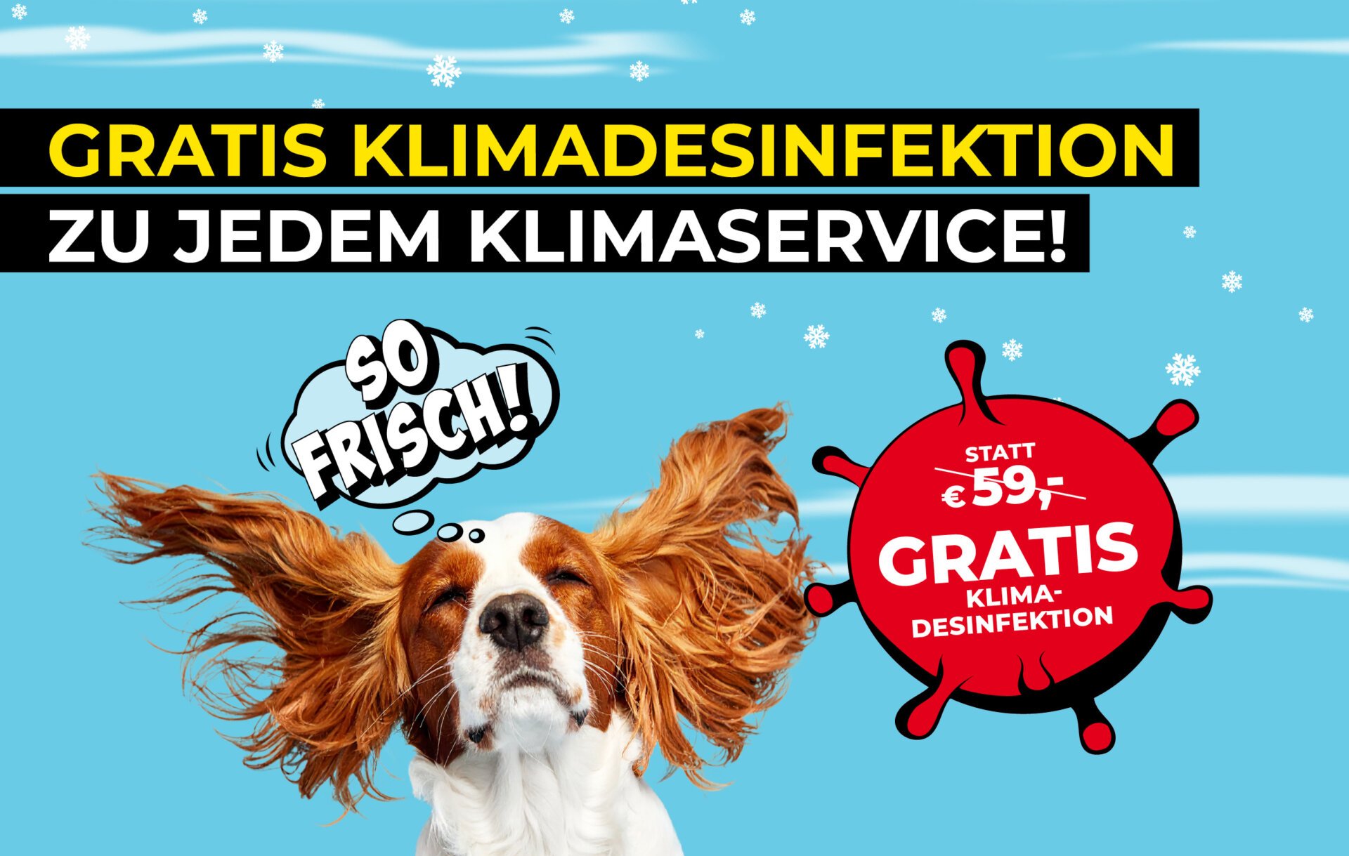 Werbung für gratis Klimadesinfektion mit Hund