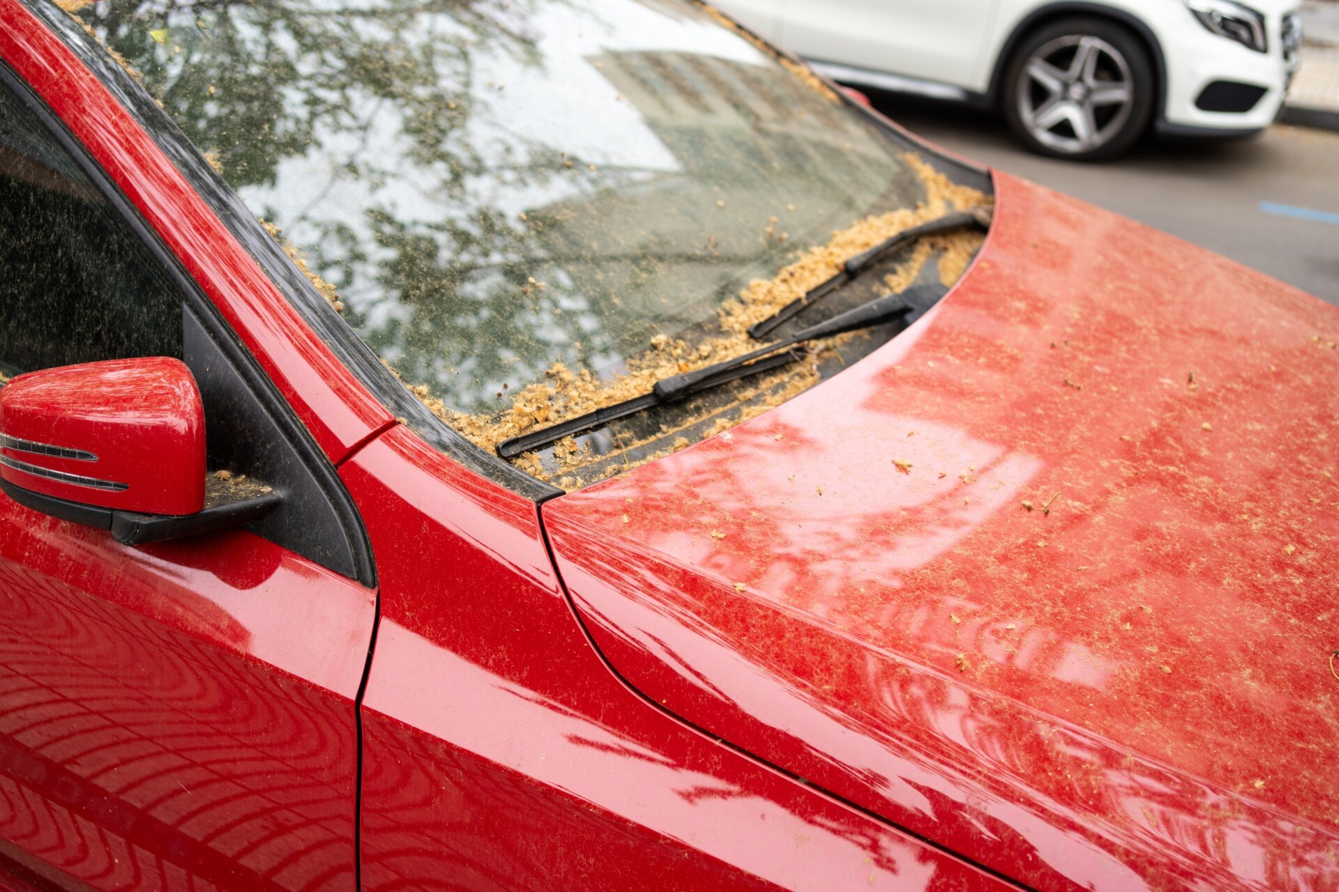 Rotes Auto mit stark verstaubter Motorhaube durch Pollen