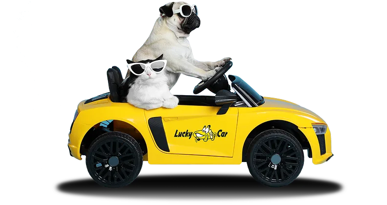 Lucky Car Garantie